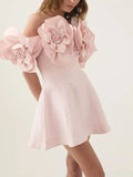 Floral-Appliques Pink Fit and Flared Off-Shoulder Mini Dress
