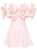 Floral-Appliques Pink Fit and Flared Off-Shoulder Mini Dress